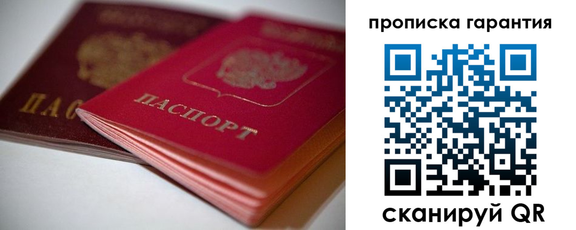 прописка в Коле